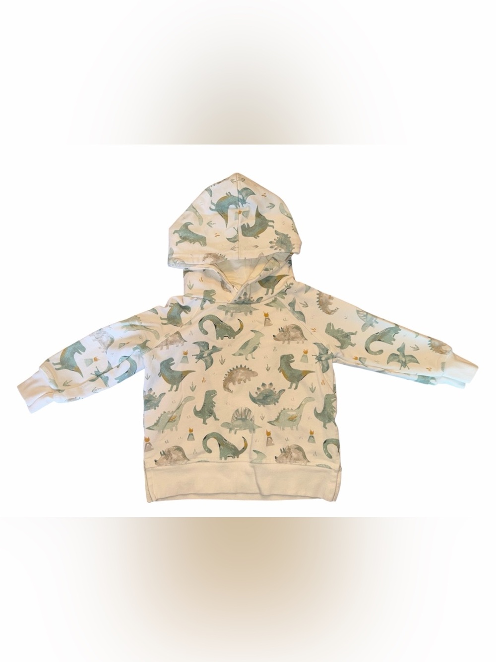 Angel Dear Hoodie Sweatshirt with Dinosaur Print, Size 18-24m, EUC, organic cott